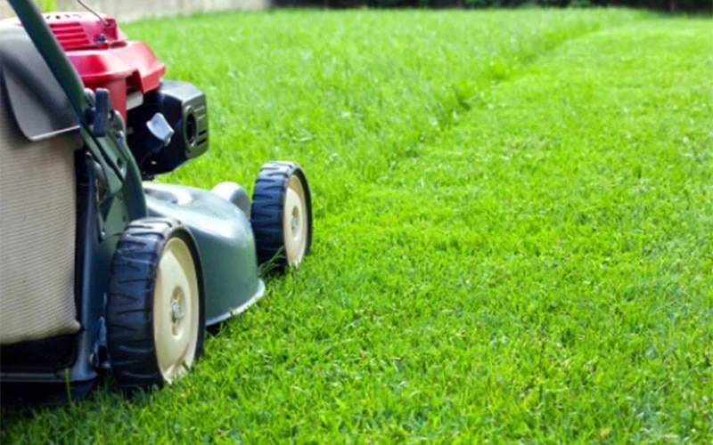 The Importance of Seasonal Lawn Maintenance