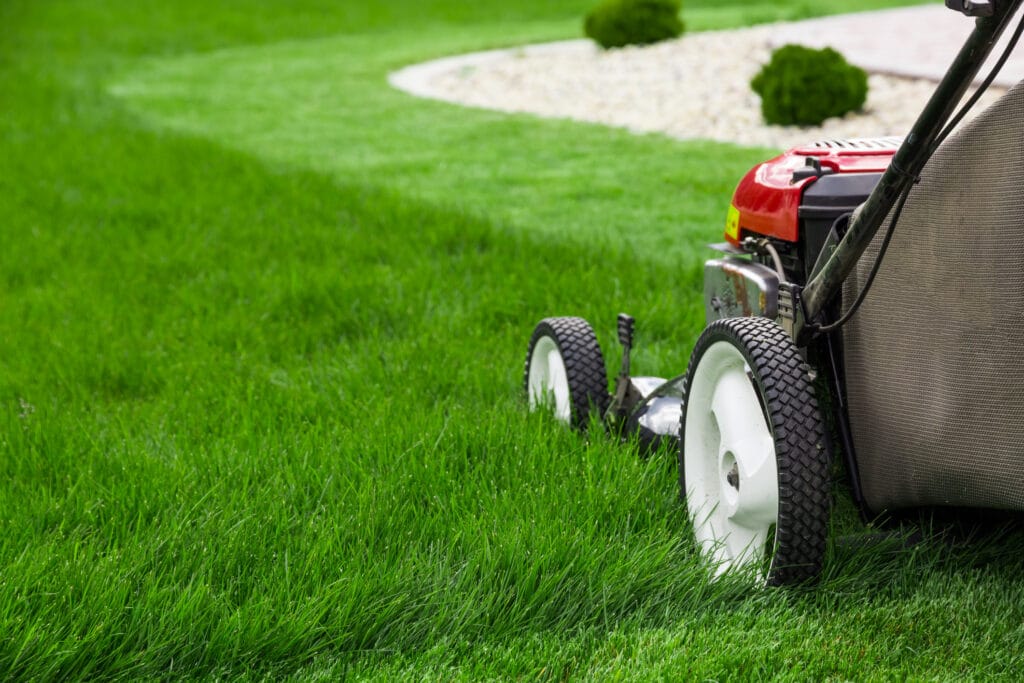 Alexandria, MN Lawn Care
