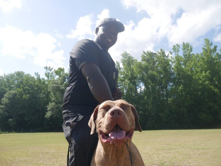 dog trainer in Mission