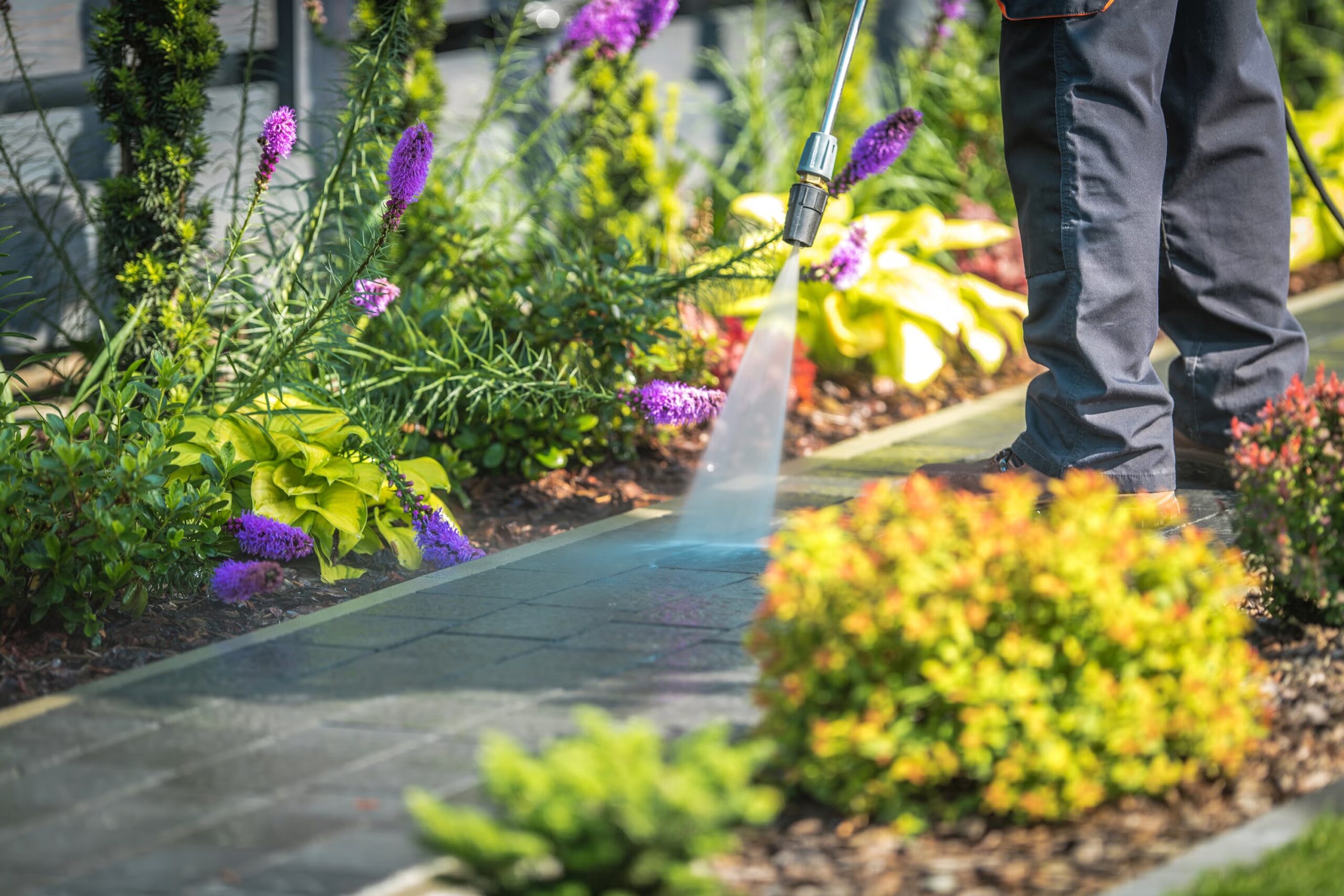 Garden Care Services